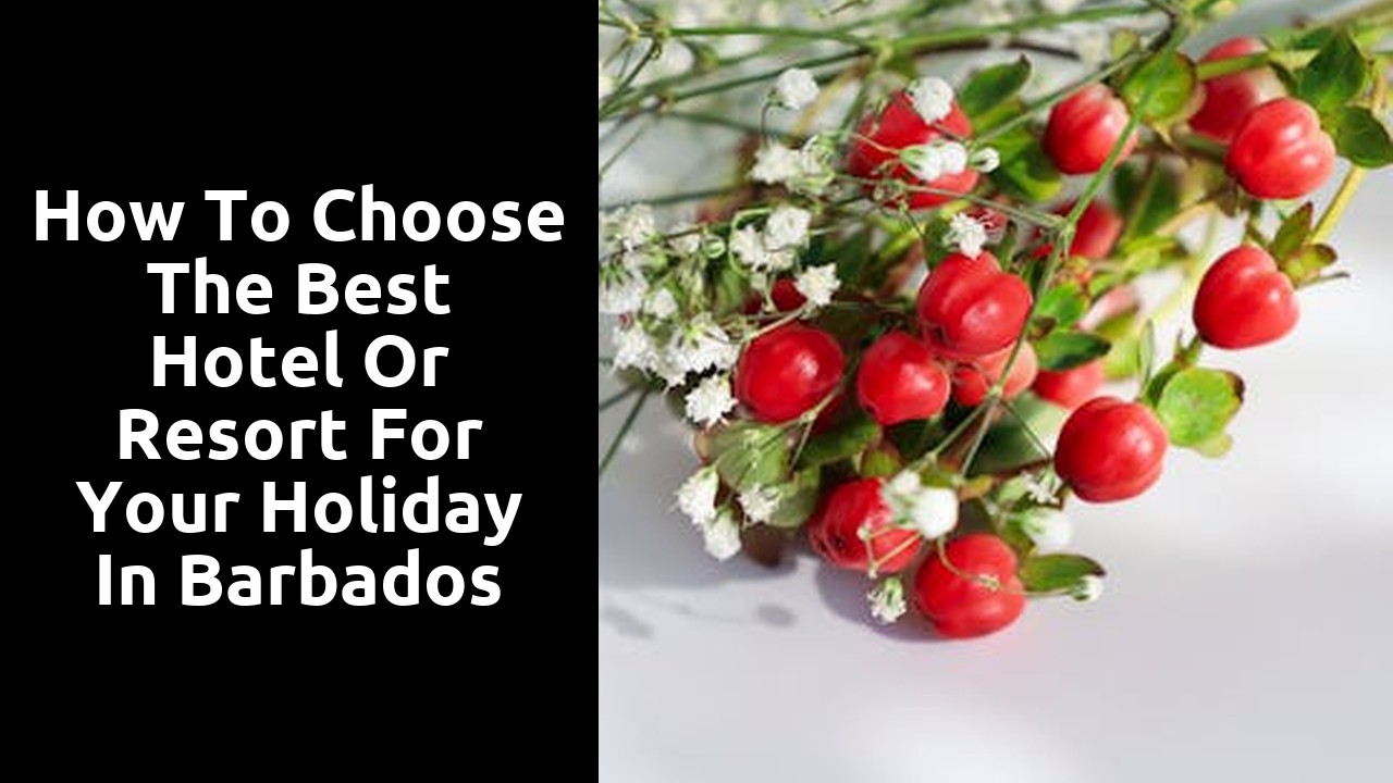 How to Choose the Best Hotel or Resort for Your Holiday in Barbados