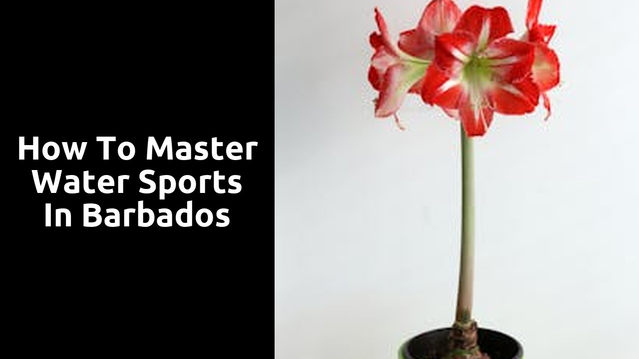 How to Master Water Sports in Barbados