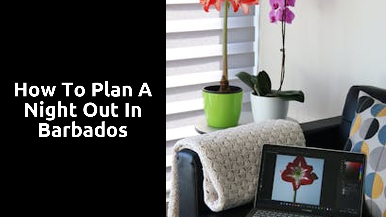 How to Plan a Night Out in Barbados