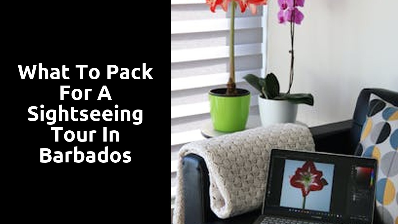 What to Pack for a Sightseeing Tour in Barbados